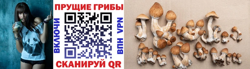 МЕГА сайт  Белый  Галлюциногенные грибы ЛСД 